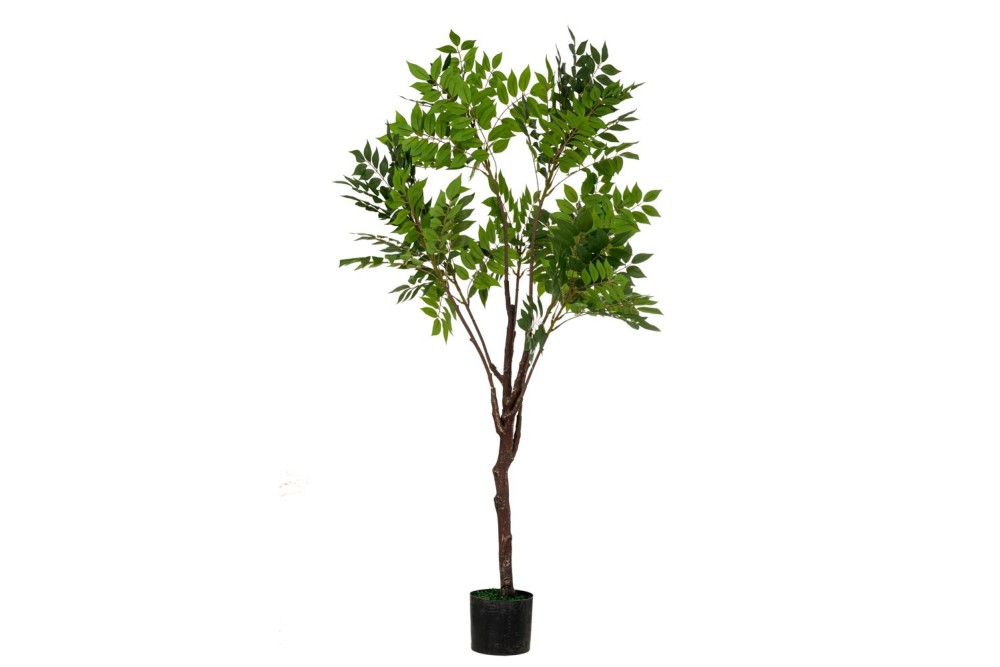 REAL TOUCH ΦΥΤΟ ΑΚΑΚΙΑ 140ΕΚ ΣΕ ΠΛΑΣΤΙΚΗ ΓΛΑΣΤΡΑ Φ15Χ12.ΕΚ