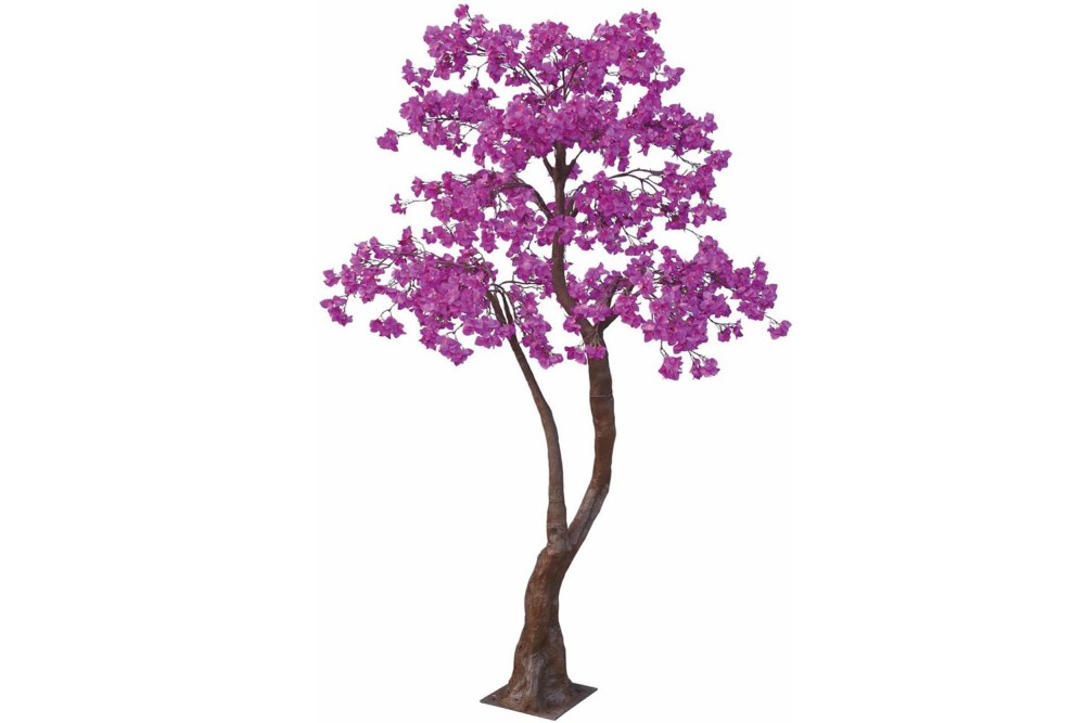 ΔΕΝΤΡΟ ΦΟΥΞΙΑ ΒΟΥΚΑΜΒΙΛΙΑ 280ΕΚ ΔΕΝΤΡΟ ΦΟΥΞΙΑ ΒΟΥΚΑΜΒΙΛΙΑ 280ΕΚ