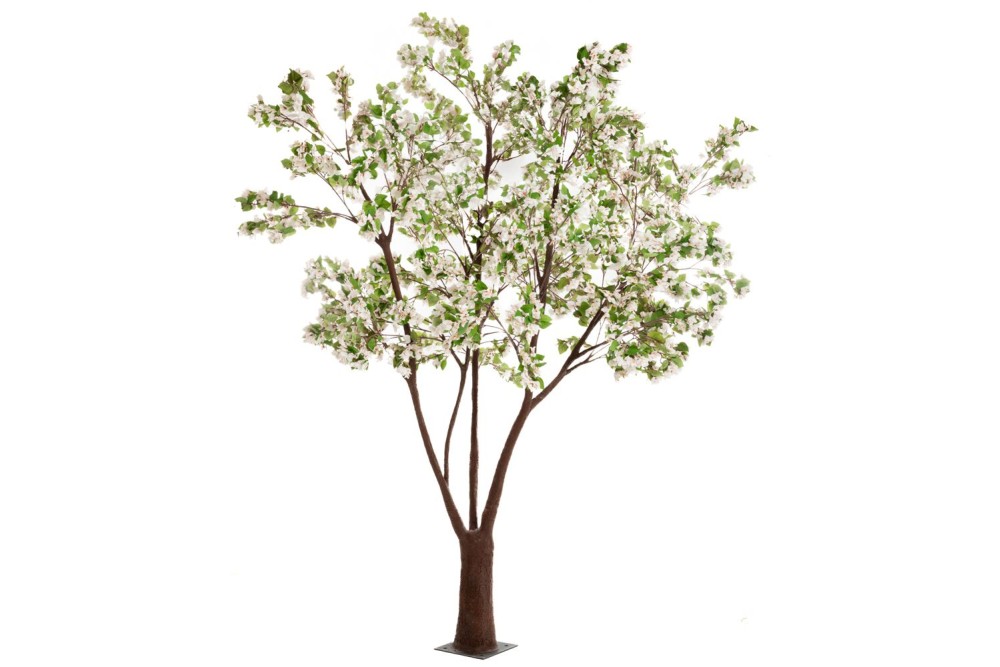 ΔΕΝΤΡΟ ΛΕΥΚΟ ΒΟΥΚΑΜΒΙΛΙΑ 320ΕΚ ΔΕΝΤΡΟ ΛΕΥΚΟ ΒΟΥΚΑΜΒΙΛΙΑ 320ΕΚ