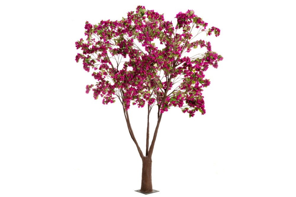 ΔΕΝΤΡΟ ΦΟΥΞΙΑ ΒΟΥΚΑΜΒΙΛΙΑ 320ΕΚ ΔΕΝΤΡΟ ΦΟΥΞΙΑ ΒΟΥΚΑΜΒΙΛΙΑ 320ΕΚ