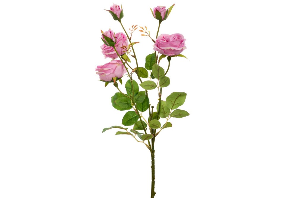 ΛΙΛΑ ΚΛΑΔΙ ΤΡΙΑΝΤΑΦΥΛΛΟ Χ6 66ΕΚ ΛΙΛΑ ΚΛΑΔΙ ΤΡΙΑΝΤΑΦΥΛΛΟ Χ6 66ΕΚ