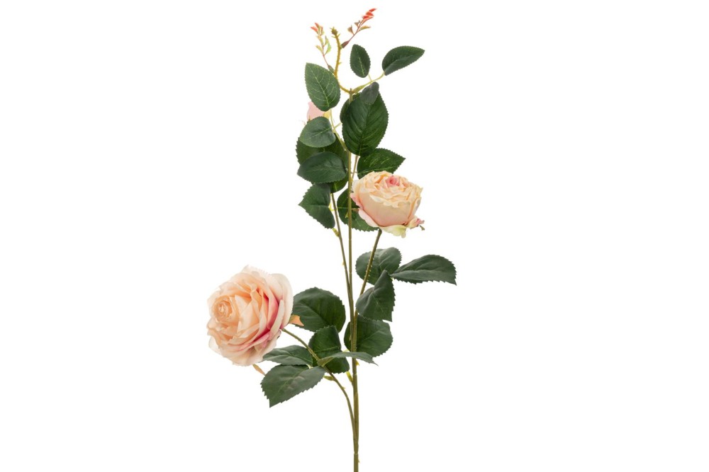 ΚΡΕΜ ΚΛΑΔΙ ΤΡΙΑΝΤΑΦΥΛΛΟ Χ3 75ΕΚ ΚΡΕΜ ΚΛΑΔΙ ΤΡΙΑΝΤΑΦΥΛΛΟ Χ3 75ΕΚ