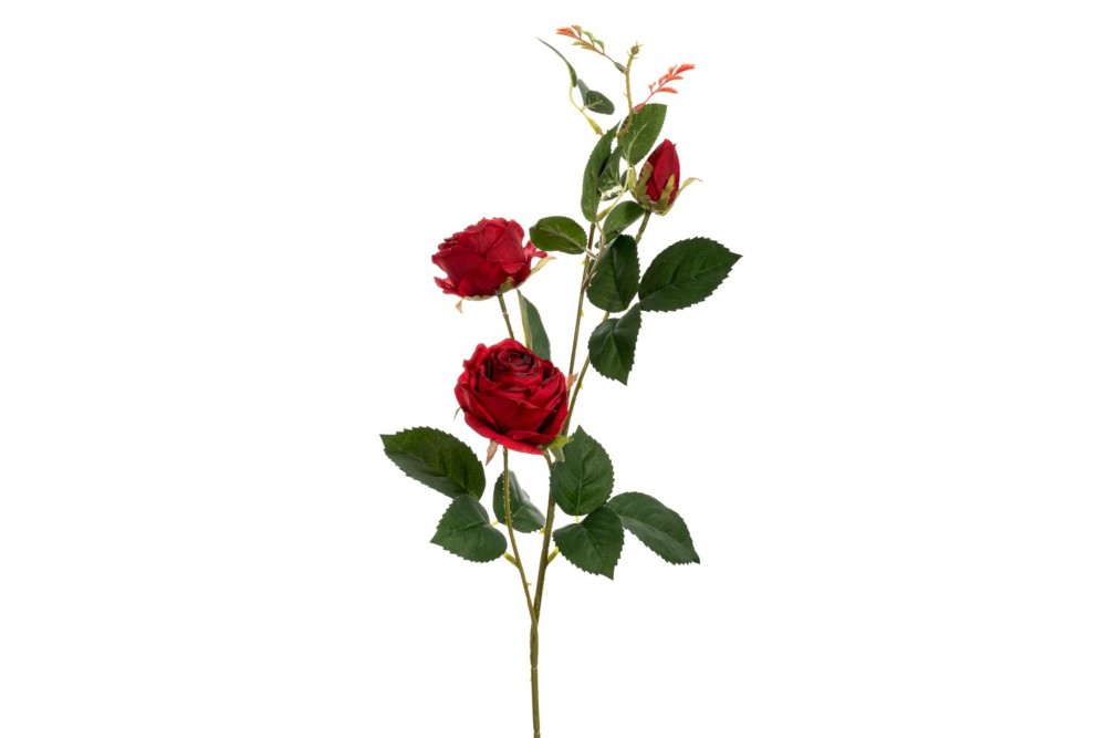 ΚΟΚΚΙΝΟ ΚΛΑΔΙ ΤΡΙΑΝΤΑΦΥΛΛΟ Χ3 75ΕΚ ΚΟΚΚΙΝΟ ΚΛΑΔΙ ΤΡΙΑΝΤΑΦΥΛΛΟ Χ3 75ΕΚ