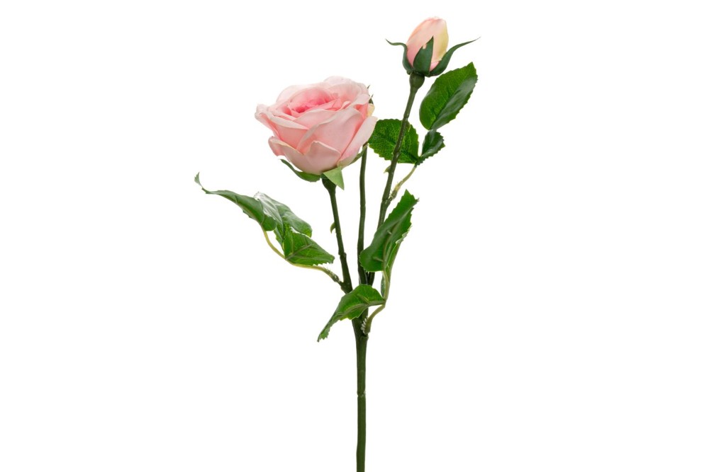 REAL TOUCH ΡΟΖ ΚΛΑΔΙ ΤΡΙΑΝΤΑΦΥΛΛΟ Χ2 46ΕΚ REAL TOUCH ΡΟΖ ΚΛΑΔΙ ΤΡΙΑΝΤΑΦΥΛΛΟ Χ2 46ΕΚ