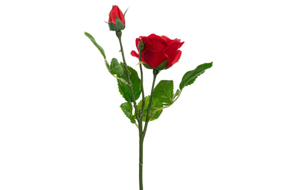 REAL TOUCH ΚΟΚΚΙΝΟ ΚΛΑΔΙ ΤΡΙΑΝΤΑΦΥΛΛΟ Χ2 46ΕΚ REAL TOUCH ΚΟΚΚΙΝΟ ΚΛΑΔΙ ΤΡΙΑΝΤΑΦΥΛΛΟ Χ2 46ΕΚ