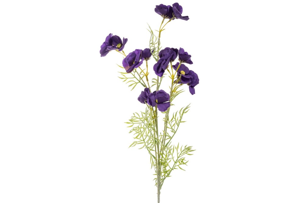 ΜΩΒ ΚΛΑΔΙ ΑΝΕΜΩΝΗ 78ΕΚ ΜΩΒ ΚΛΑΔΙ ΑΝΕΜΩΝΗ 78ΕΚ