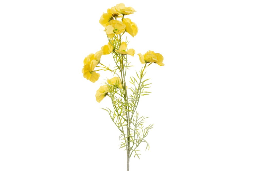 ΚΙΤΡΙΝΟ ΚΛΑΔΙ ΑΝΕΜΩΝΗ 78ΕΚ ΚΙΤΡΙΝΟ ΚΛΑΔΙ ΑΝΕΜΩΝΗ 78ΕΚ