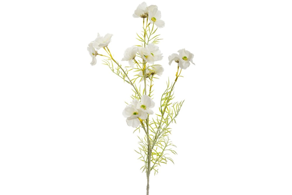 ΛΕΥΚΟ ΚΛΑΔΙ ΑΝΕΜΩΝΗ 78ΕΚ ΛΕΥΚΟ ΚΛΑΔΙ ΑΝΕΜΩΝΗ 78ΕΚ