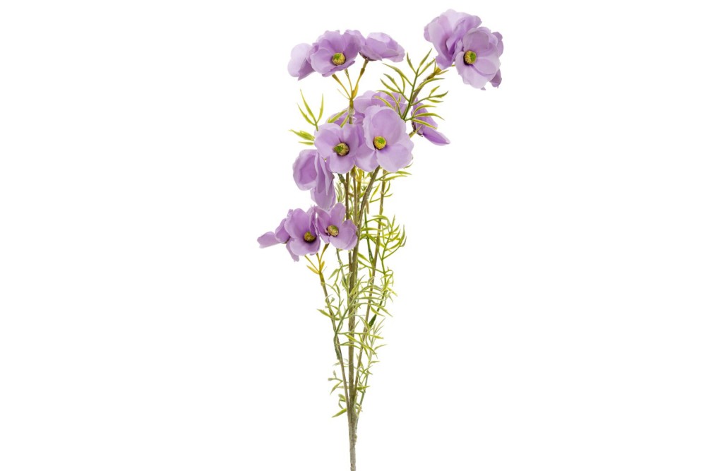 ΛΙΛΑ ΚΛΑΔΙ ΑΝΕΜΩΝΗ 78ΕΚ ΛΙΛΑ ΚΛΑΔΙ ΑΝΕΜΩΝΗ 78ΕΚ