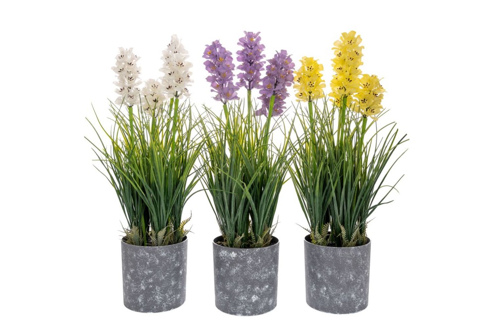 ΓΛΑΣΤΡΑΚΙ 13Χ52ΕΚ ΥΑΚΙΝΘΟΣ 3 ΧΡΩΜΑΤΑ ΣΕ ΓΚΡΙ ΠΛΑΣΤΙΚΟ ΚΑΣΠΩ