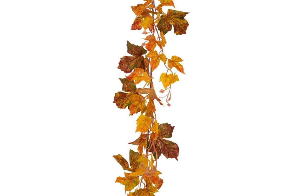 ΦΘΙΝΟΠΩΡΙΝΗ ΓΙΡΛΑΝΤΑ ΚΑΦΕ 180EK ΦΘΙΝΟΠΩΡΙΝΗ ΓΙΡΛΑΝΤΑ ΚΑΦΕ 180EK