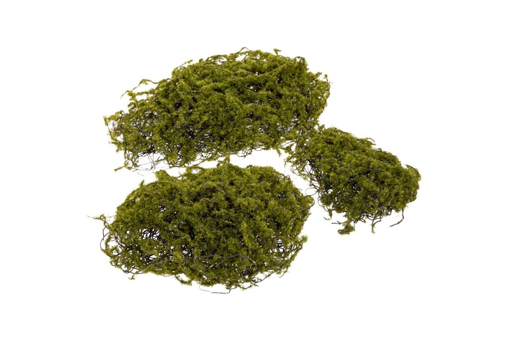 ΣΕΤ 3 ΠΡΑΣΙΝΑ ΣΤΡΟΓΓΥΛΑ ΚΟΜΜΑΤΙΑ ΒΡΥΑ ΣΕΤ 3 ΠΡΑΣΙΝΑ ΣΤΡΟΓΓΥΛΑ ΚΟΜΜΑΤΙΑ ΒΡΥΑ