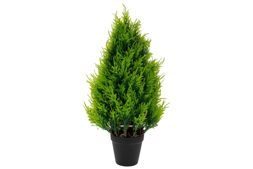 ΓΛΑΣΤΡΑ ΜΕ ΔΕΝΔΡΟ 25Χ489ΕΚ ΣΕ ΜΑΥΡΟ ΓΛΑΣΤΡΑΚΙ ΠΛΑΣΤΙΚΟ