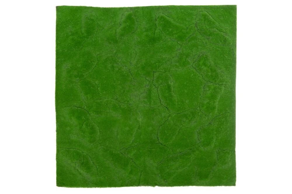 ΤΑΠΗΤΑΣ ΑΓΡΙΟ ΓΡΑΣΙΔΙ 100Χ100ΕΚ ΤΕΤΡΑΓΩΝΟΣ ΤΑΠΗΤΑΣ ΑΓΡΙΟ ΓΡΑΣΙΔΙ 100Χ100ΕΚ ΤΕΤΡΑΓΩΝΟΣ