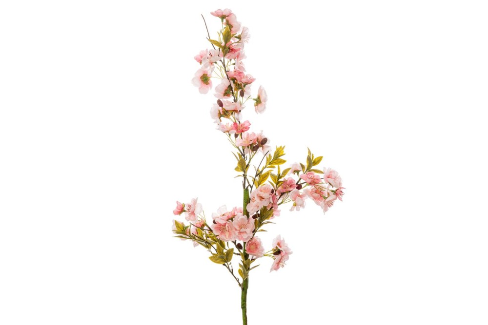 ΡΟΖ ΚΛΑΔΙ ΑΜΥΓΔΑΛΙΑ 85ΕΚ ΡΟΖ ΚΛΑΔΙ ΑΜΥΓΔΑΛΙΑ 85ΕΚ