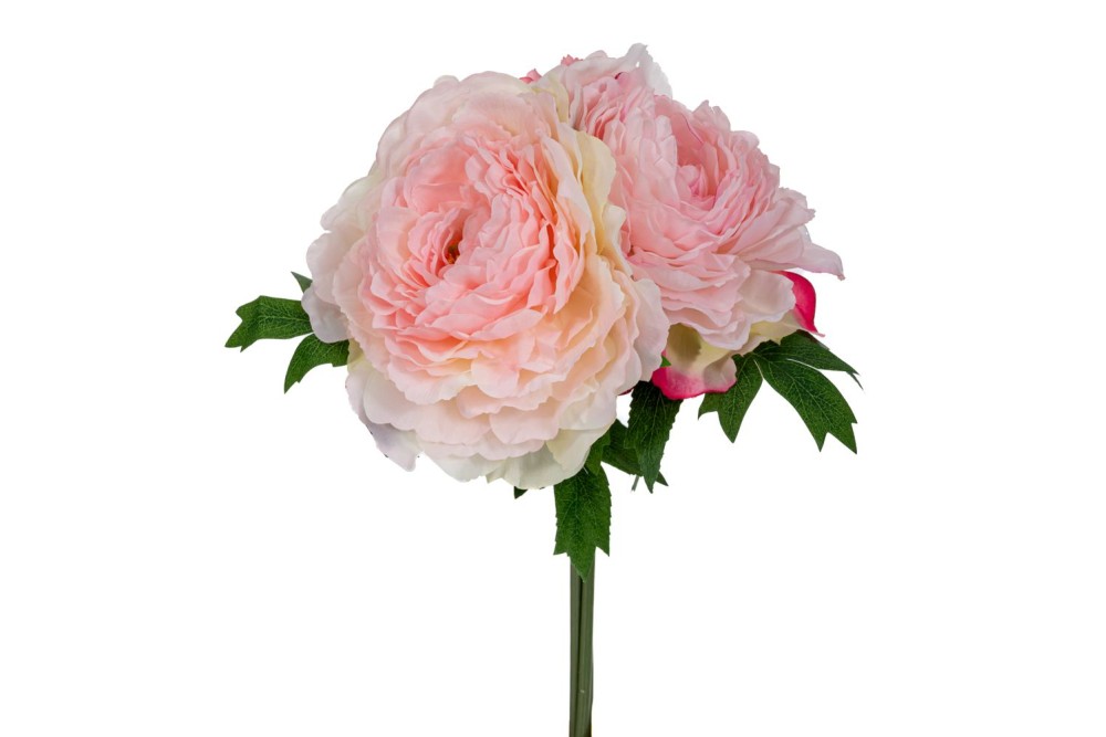 ΡΟΖ ΜΠΟΥΚΕΤΟ ΜΕ ΠΑΙΩΝΙΕΣ X3 Φ20Χ27ΕΚ ΡΟΖ ΜΠΟΥΚΕΤΟ ΜΕ ΠΑΙΩΝΙΕΣ X3 Φ20Χ27ΕΚ