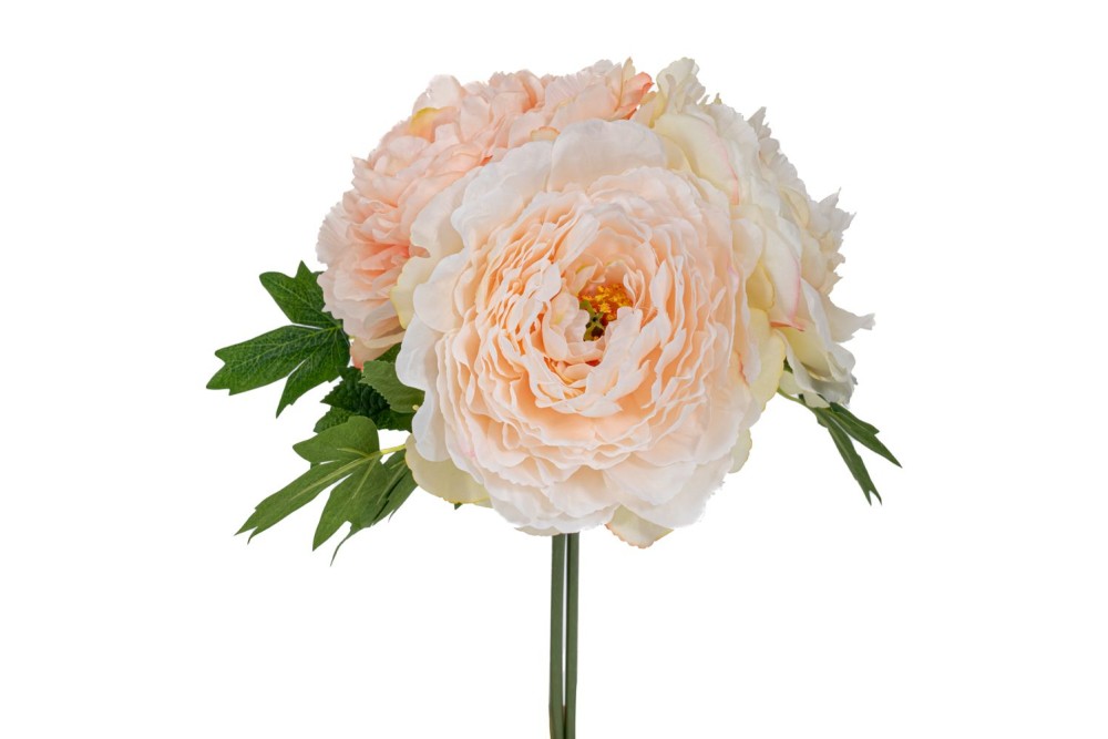 ΛΕΥΚΟ-ΚΡΕΜ ΜΠΟΥΚΕΤΟ ΜΕ ΠΑΙΩΝΙΕΣ X3 Φ20Χ27ΕΚ ΛΕΥΚΟ-ΚΡΕΜ ΜΠΟΥΚΕΤΟ ΜΕ ΠΑΙΩΝΙΕΣ X3 Φ20Χ27ΕΚ