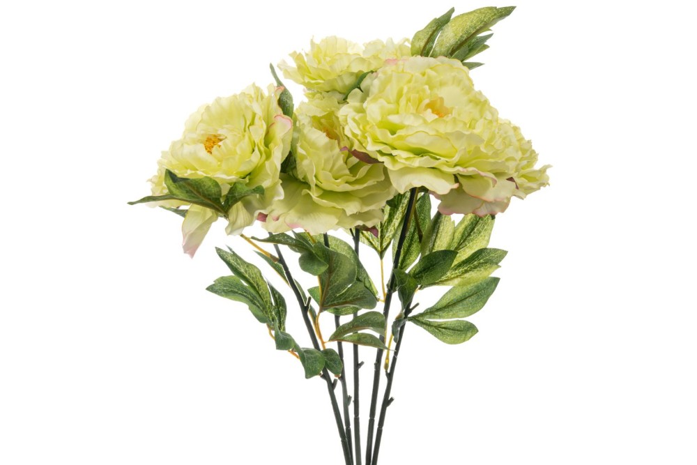 ΛΑΧΑΝΙ ΜΠΟΥΚΕΤΟ ΧΡΥΣΑΝΘΕΜΟ 55ΕΚ Χ5 ΛΑΧΑΝΙ ΜΠΟΥΚΕΤΟ ΧΡΥΣΑΝΘΕΜΟ 55ΕΚ Χ5