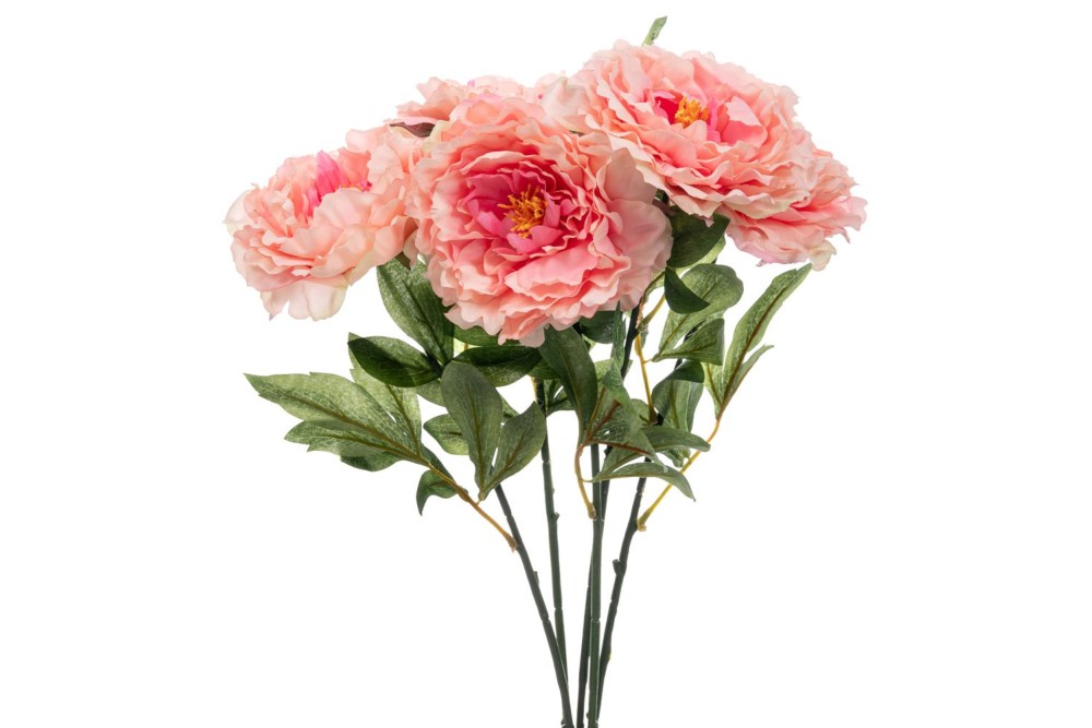 ΡΟΖ ΜΠΟΥΚΕΤΟ ΧΡΥΣΑΝΘΕΜΟ 55ΕΚ Χ5 ΡΟΖ ΜΠΟΥΚΕΤΟ ΧΡΥΣΑΝΘΕΜΟ 55ΕΚ Χ5