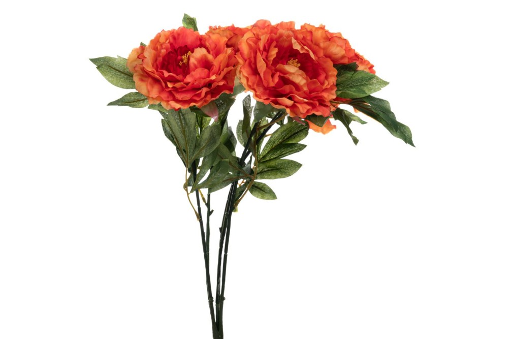 ΠΟΡΤΟΚΑΛΙ ΜΠΟΥΚΕΤΟ ΧΡΥΣΑΝΘΕΜΟ 55ΕΚ Χ5 ΠΟΡΤΟΚΑΛΙ ΜΠΟΥΚΕΤΟ ΧΡΥΣΑΝΘΕΜΟ 55ΕΚ Χ5