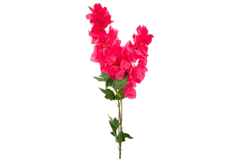 ΒΟΥΚΑΜΒΙΛΙΑ ΦΟΥΞΙΑ 100ΕΚ ΜΕ 3 ΚΛΑΔΙΑ