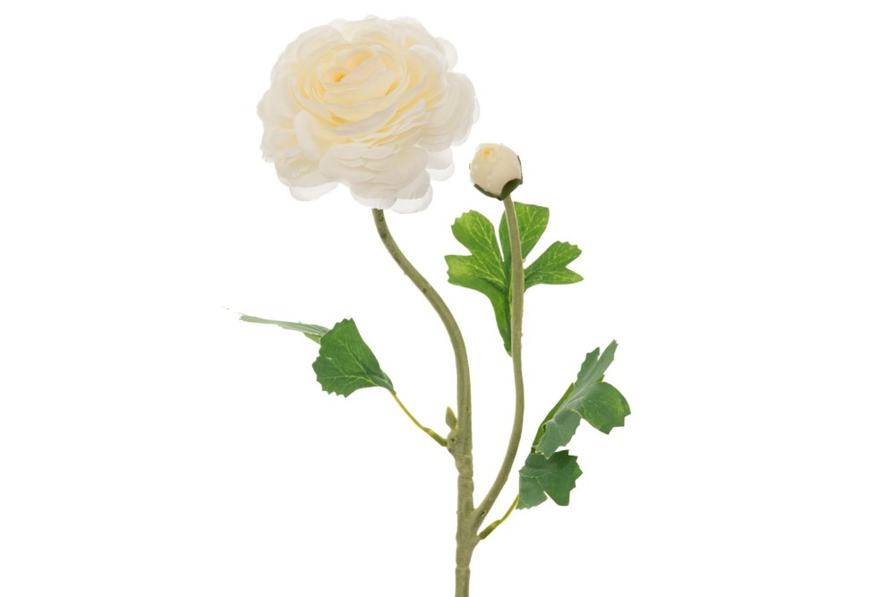 ΛΕΥΚΟ ΚΛΑΔΙ ΤΡΙΑΝΤΑΦΥΛΛΟ 60ΕΚ ΛΕΥΚΟ ΚΛΑΔΙ ΤΡΙΑΝΤΑΦΥΛΛΟ 60ΕΚ