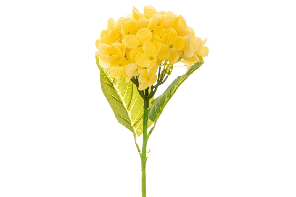 ΟΡΤΑΝΣΙΑ ΚΙΤΡΙΝΟ ΚΛΑΔΙ 15Χ45ΕΚ ΟΡΤΑΝΣΙΑ ΚΙΤΡΙΝΟ ΚΛΑΔΙ 15Χ45ΕΚ