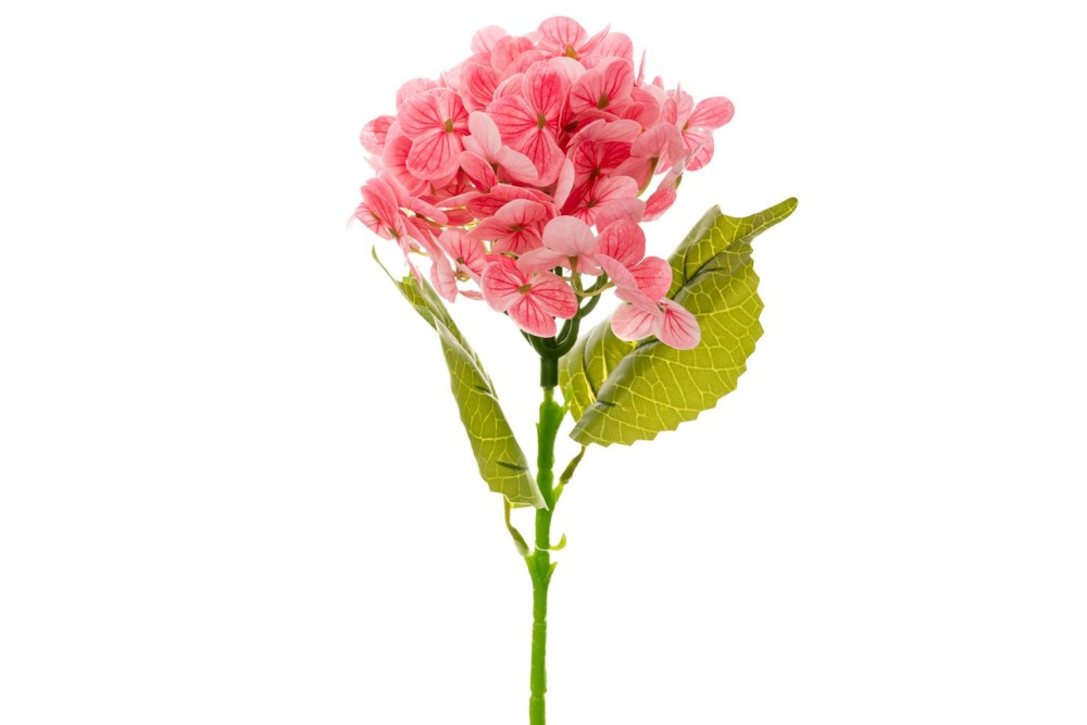 ΟΡΤΑΝΣΙΑ ΡΟΖ ΚΛΑΔΙ 15Χ45ΕΚ