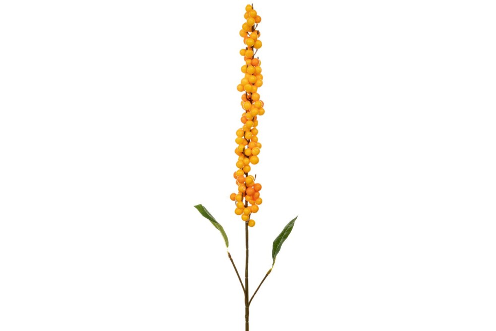 ΚΙΤΡΙΝΟ ΚΛΑΔΙ BERRIES 98ΕΚ ΚΙΤΡΙΝΟ ΚΛΑΔΙ BERRIES 98ΕΚ