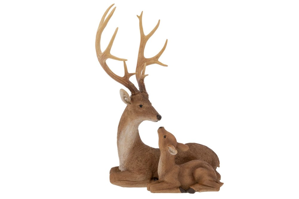 ΚΑΦΕ ΠΟΛΥΡΕΖΙΝ ΚΑΘΙΣΤΟ ΕΛΑΦΙ ΜΕ ΕΛΑΦΑΚΙ 41,5Χ27,5Χ55ΕΚ