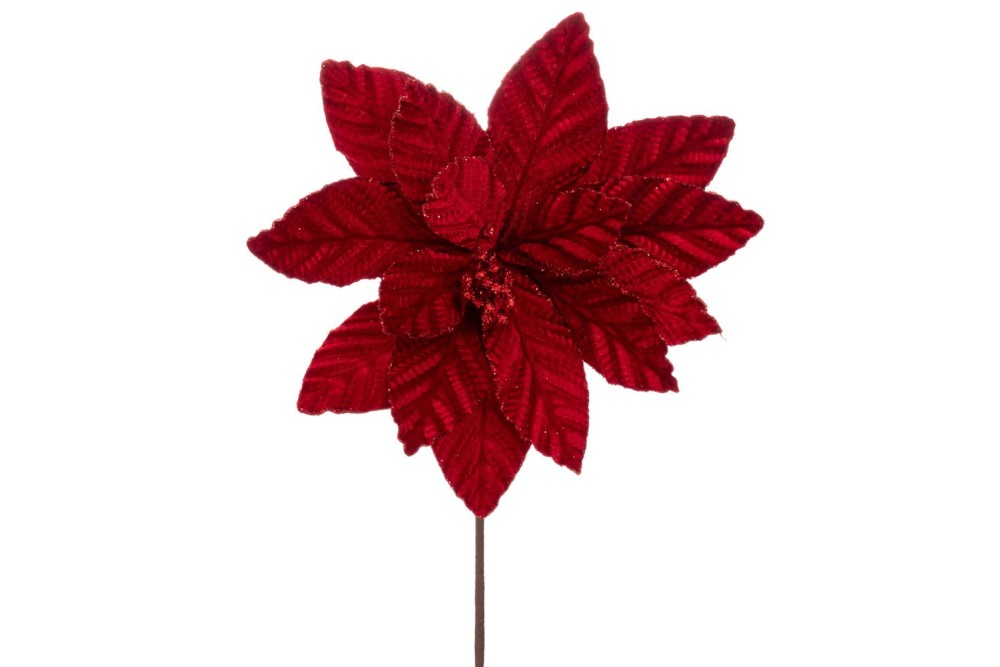 ΚΟΚΚΙΝΟ ΒΕΛΟΥΔΙΝΟ ΑΛΕΞΑΝΔΡΙΝΟ 60ΕΚ