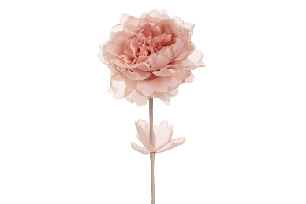 ΣΑΠΙΟ ΜΗΛΟ ΚΛΑΔΙ ΠΑΙΩΝΙΑ