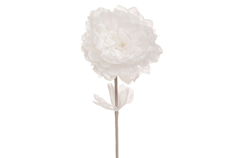 ΛΕΥΚΟ ΚΛΑΔΙ ΠΑΙΩΝΙΑ