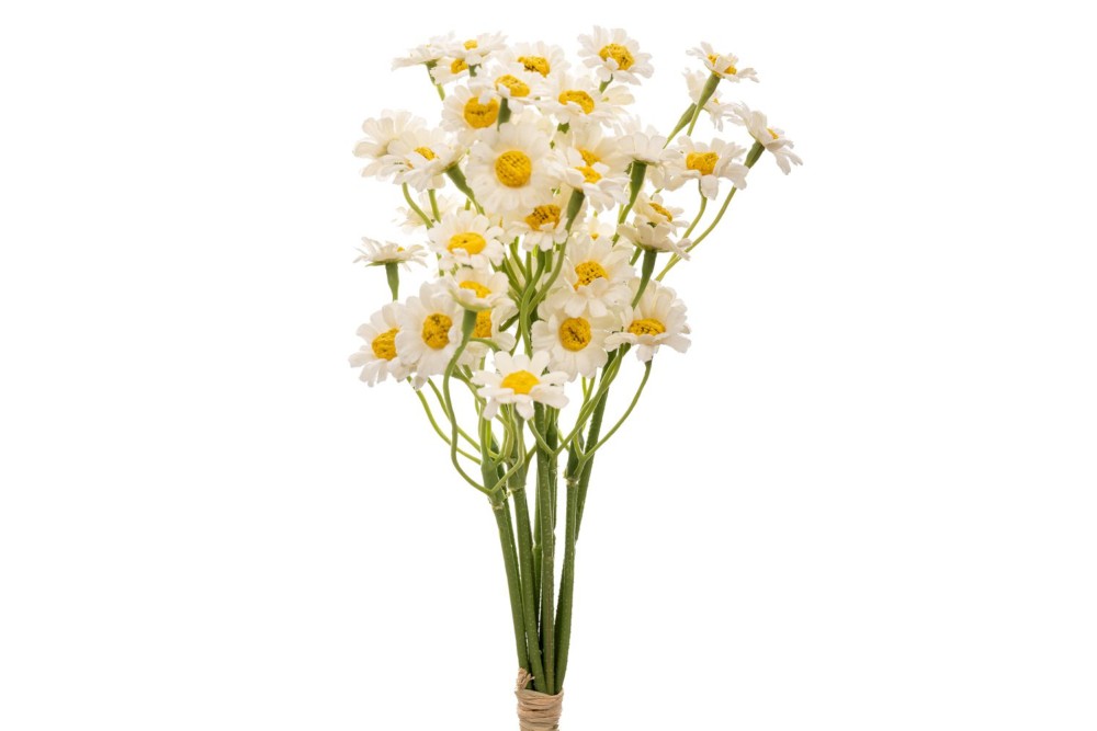 ΛΕΥΚΟ ΜΠΟΥΚΕΤΟ ΜΑΡΓΑΡΙΤΕΣ 27ΕΚ Χ5