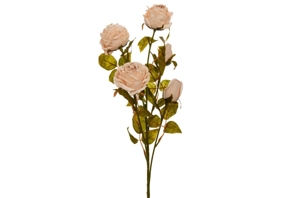 ΜΠΕΖ ΚΛΑΔΙ ΤΡΙΑΝΤΑΦΥΛΛΟ 70ΕΚ Χ5 ΜΠΕΖ ΚΛΑΔΙ ΤΡΙΑΝΤΑΦΥΛΛΟ 70ΕΚ Χ5