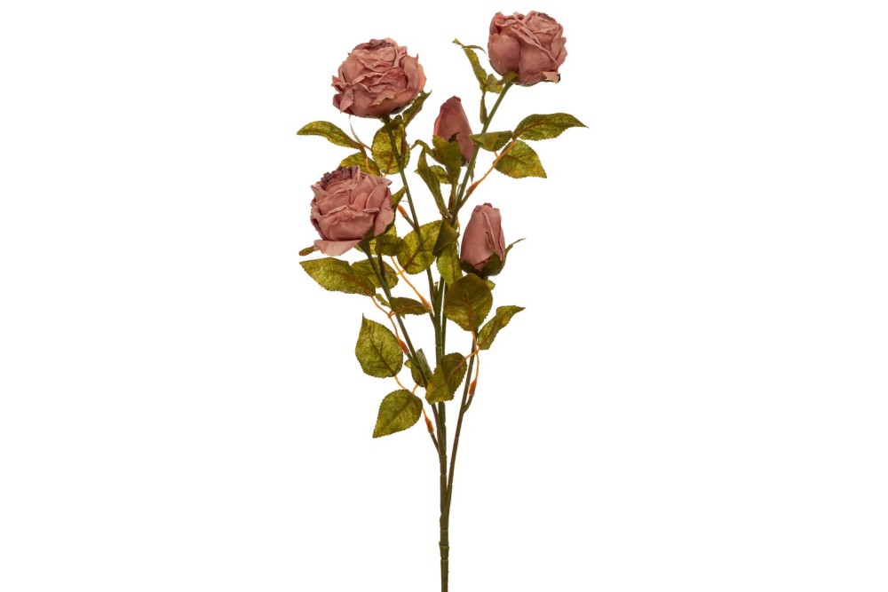 ΣΑΠΙΟ ΜΗΛΟ ΚΛΑΔΙ ΤΡΙΑΝΤΑΦΥΛΛΟ 70ΕΚ Χ5 ΣΑΠΙΟ ΜΗΛΟ ΚΛΑΔΙ ΤΡΙΑΝΤΑΦΥΛΛΟ 70ΕΚ Χ5