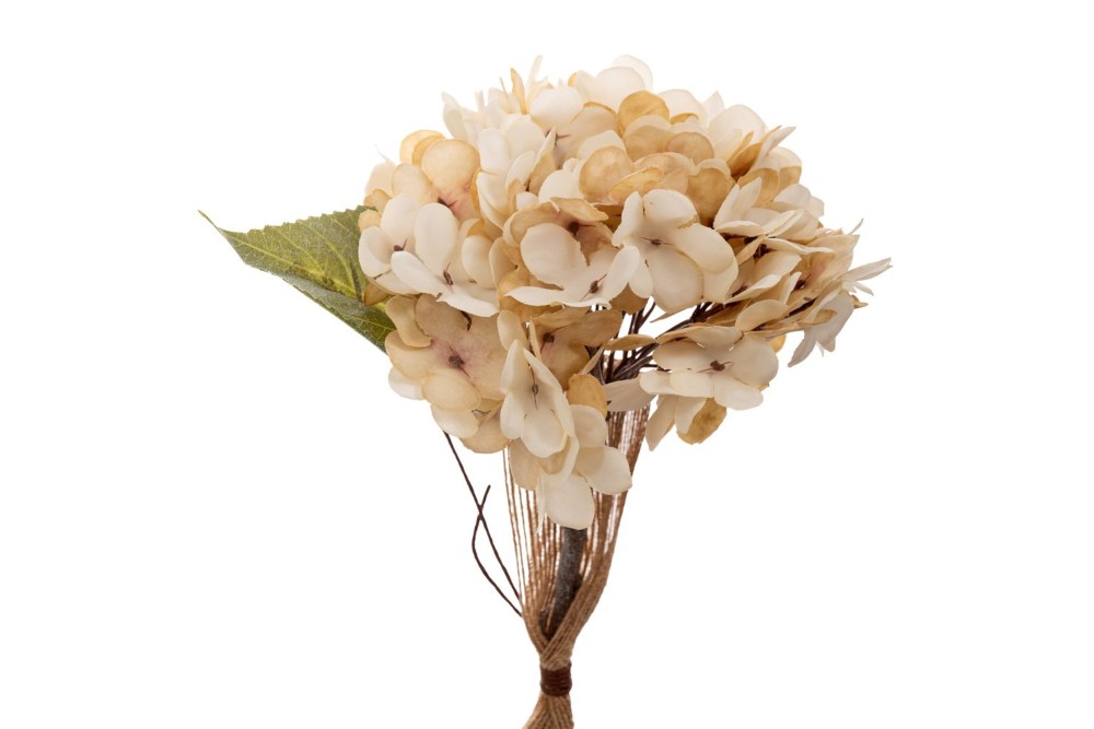 ΚΡΕΜ ΚΛΑΔΙ ΟΡΤΑΝΣΙΑ 33ΕΚ ΚΡΕΜ ΚΛΑΔΙ ΟΡΤΑΝΣΙΑ 33ΕΚ