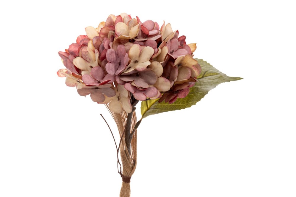 ΣΑΠΙΟ ΜΗΛΟ ΚΛΑΔΙ ΟΡΤΑΝΣΙΑ 33ΕΚ ΣΑΠΙΟ ΜΗΛΟ ΚΛΑΔΙ ΟΡΤΑΝΣΙΑ 33ΕΚ