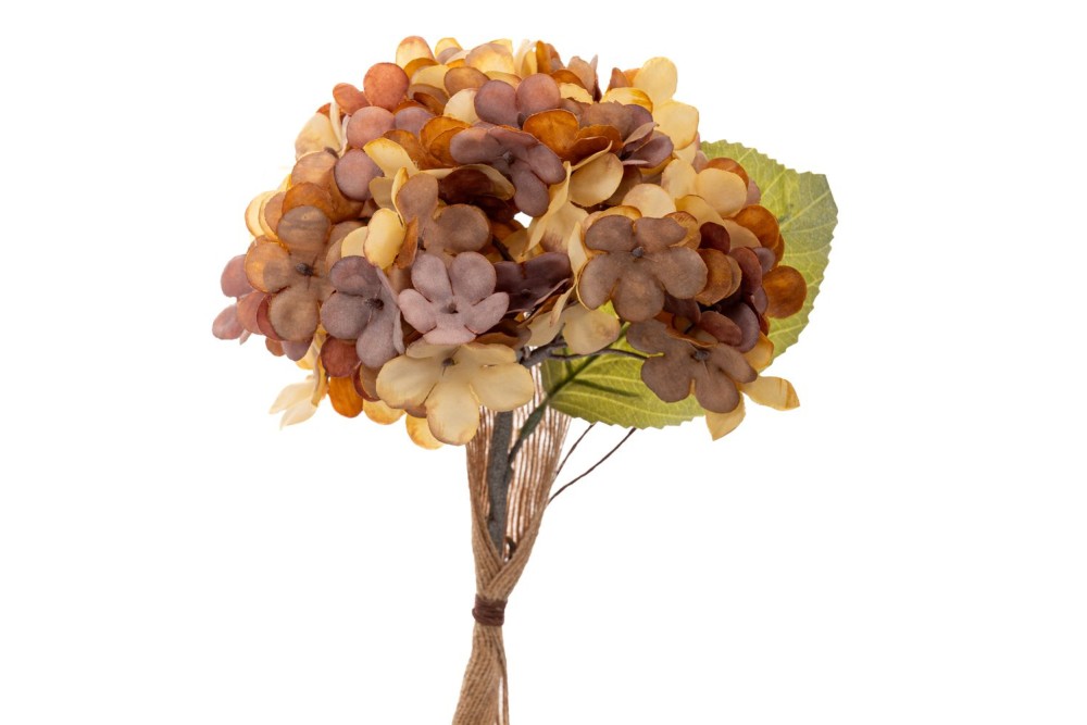 ΣΟΜΩΝ ΚΛΑΔΙ ΟΡΤΑΝΣΙΑ 33ΕΚ ΣΟΜΩΝ ΚΛΑΔΙ ΟΡΤΑΝΣΙΑ 33ΕΚ