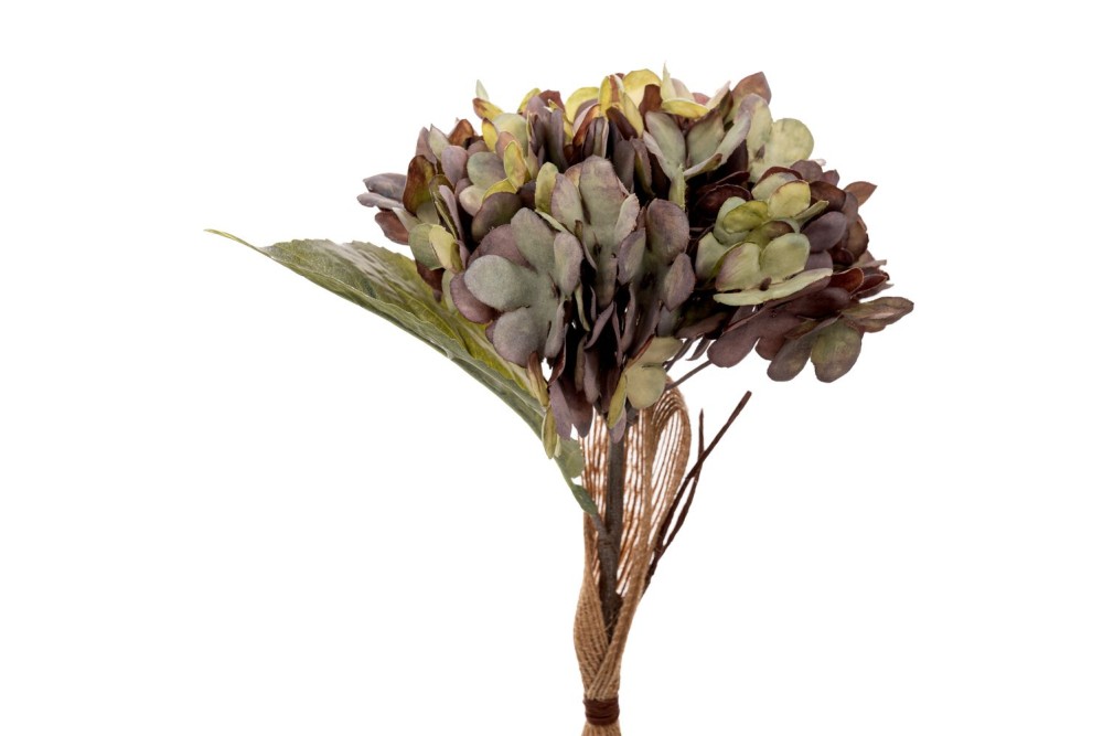 ΛΙΛΑ ΚΛΑΔΙ ΟΡΤΑΝΣΙΑ 33ΕΚ ΛΙΛΑ ΚΛΑΔΙ ΟΡΤΑΝΣΙΑ 33ΕΚ