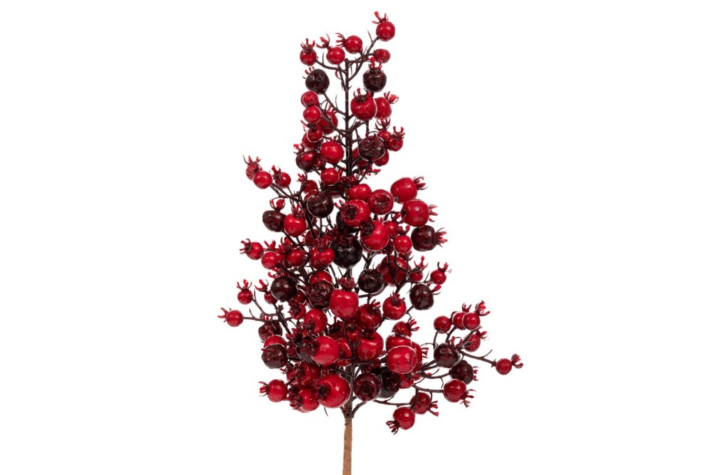 ΚΛΑΔΙ ΜΕ ΚΟΚΚΙΝΑ BERRIES 50ΕΚ