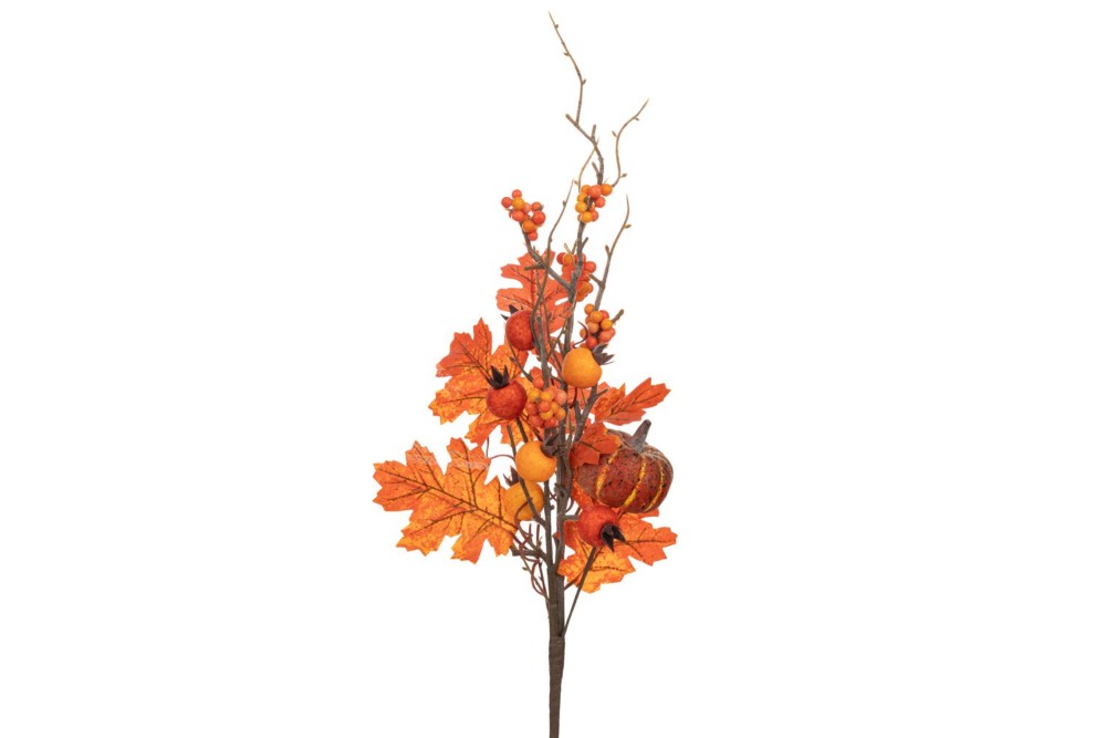 ΦΘΙΝΟΠΩΡΙΝΟ ΚΛΑΔΙ ΜΕ ΚΑΡΠΟΥΣ 65ΕΚ