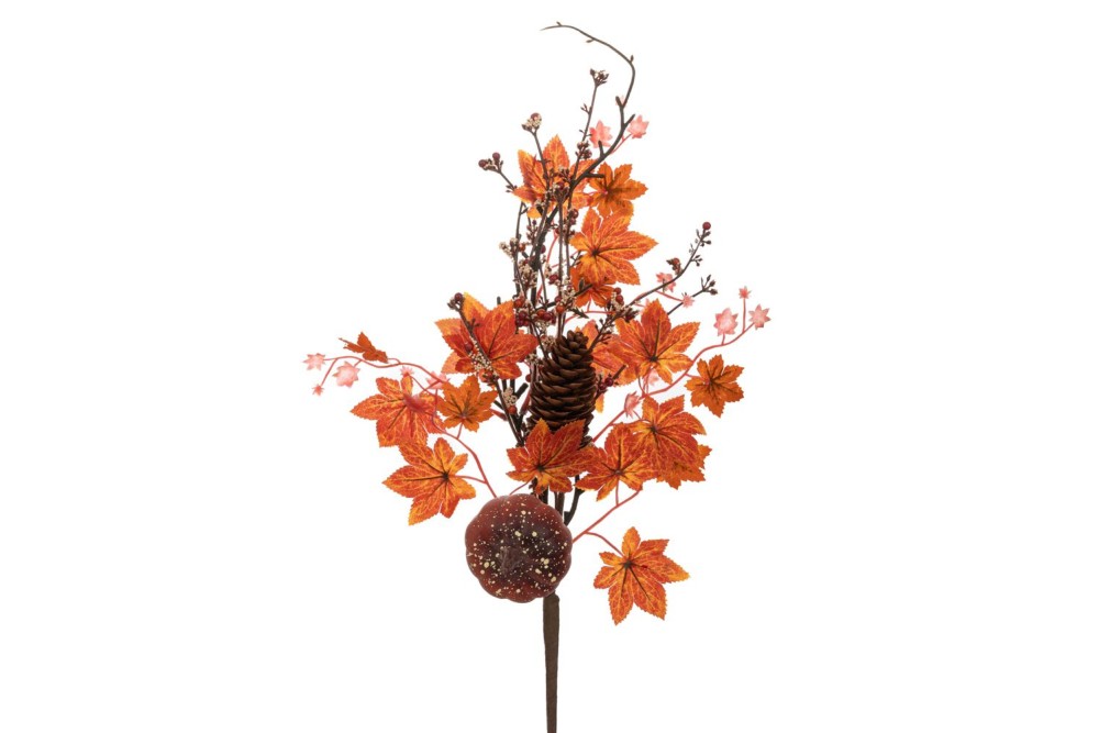 ΦΘΙΝΟΠΩΡΙΝΟ ΚΛΑΔΙ ΜΕ ΠΟΡΤΟΚΑΛΙ ΦΥΛΛΑ ΚΑΙ ΚΟΥΚΟΥΝΑΡΙ 40ΕΚ