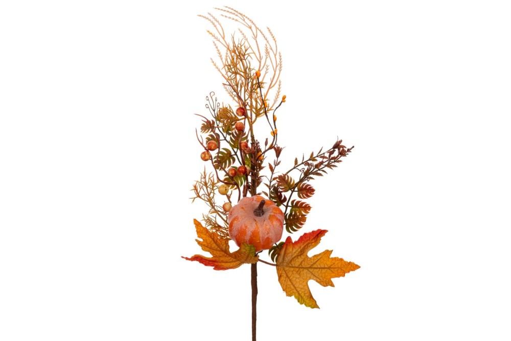 ΦΘΙΝΟΠΩΡΙΝΟ ΚΛΑΔΙ ΜΕ ΠΟΡΤΟΚΑΛΙ ΚΑΡΠΟΥΣ 70ΕΚ