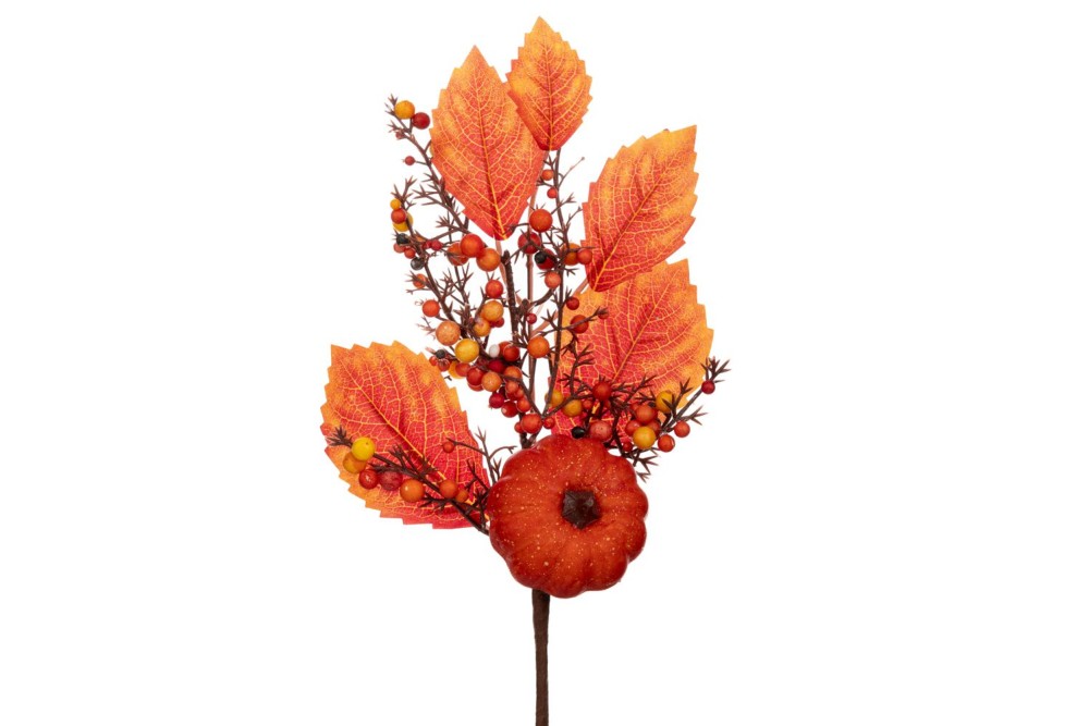 ΦΘΙΝΟΠΩΡΙΝΟ ΚΛΑΔΙ ΜΕ ΠΟΡΤΟΚΑΛΙ ΦΥΛΛΑ ΚΑΙ ΚΑΡΠΟΥΣ 40ΕΚ