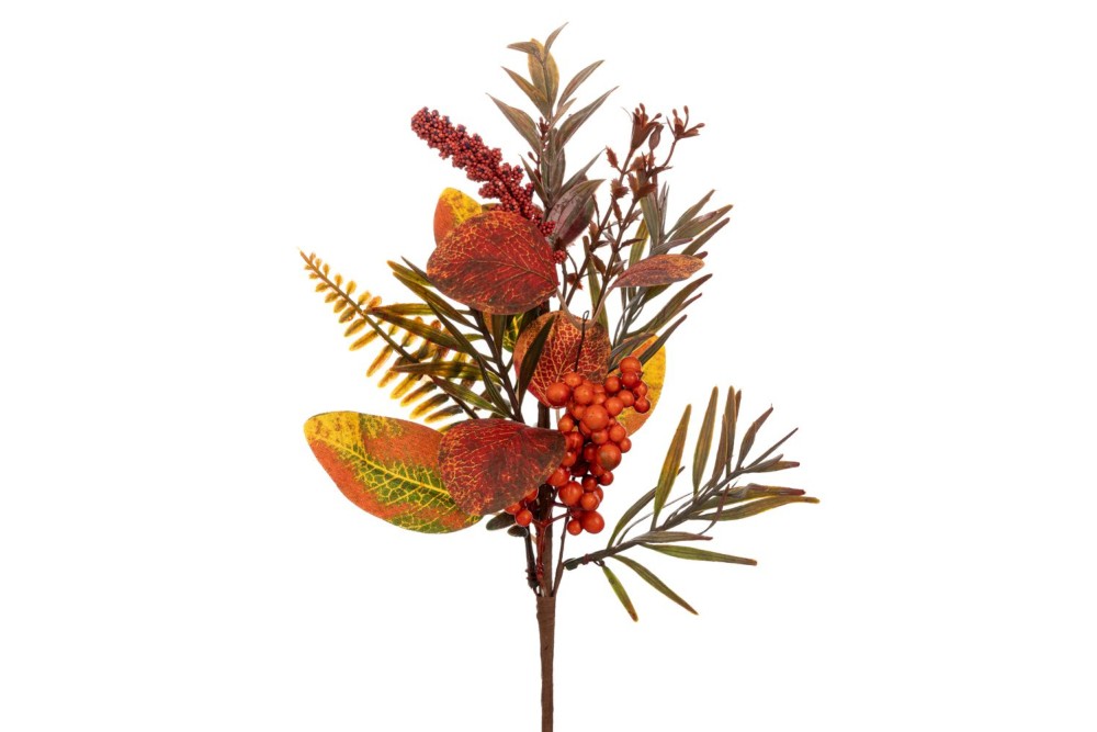 ΦΘΙΝΟΠΩΡΙΝΟ ΚΛΑΔΙ ΜΕ ΠΟΡΤΟΚΑΛΙ BERRIES 31EK