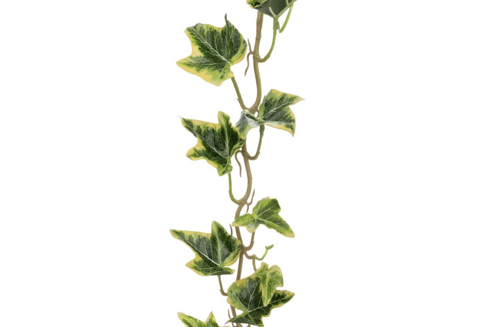 ΚΙΣΣΟΣ ΔΙΧΡΩΜΟΣ ΓΙΡΛΑΝΤΑ 232ΕΚ ΜΕ UV KAI FIRE PROTECTION (ΒΡΑΔΥΚΑΥΣΤΟ)