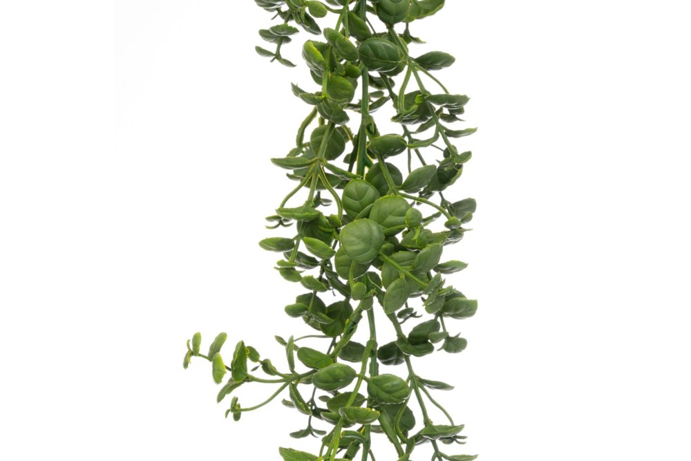 ΓΙΡΛΑΝΤΑ ΕΥΚΑΠΥΠΤΟΣ 170ΕΚ ΜΕ UV KAI FIRE PROTECTION (ΒΡΑΔΥΚΑΥΣΤΟ)