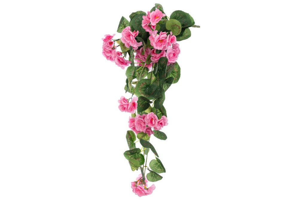 ΡΙΖΑ ΜΟΛΟΧΑ ΚΡΕΜΑΣΤΗ ΡΟΖ 62ΕΚ Χ11