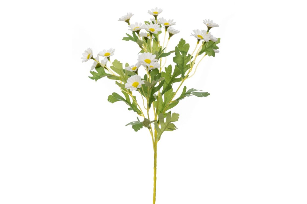 ΚΛΑΔΙ ΜΑΡΓΑΡΙΤΕΣ ΛΕΥΚΕΣ 55ΕΚ Χ5